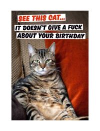 See this Cat Card