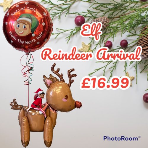 Elf Reindeer Arrival